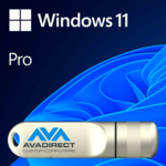 Windows 11 Pro 64-bit Digital OEM w/ 32GB USB Flash Drive