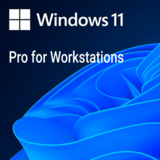 Operating System - Windows 11 Pro for Workstations DVD OEM