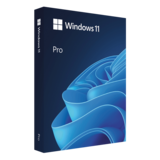 Operating System - Windows 11 Pro (64-Bit, USB Flash Drive)