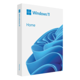 Operating System - Windows 11 Home (64-Bit, USB Flash Drive)