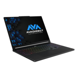 Lenovo Legion 5a (15", 11) Custom Gaming Laptop