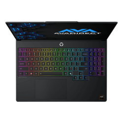 Lenovo Legion 5a (15", 11) Custom Gaming Laptop