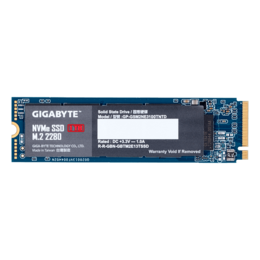 1TB GP-GSM2NE3100TNTD 2280, 2500 / 2100 MB/s, NAND Flash, PCIe 3.0 x4 NVMe, M.2 SSD