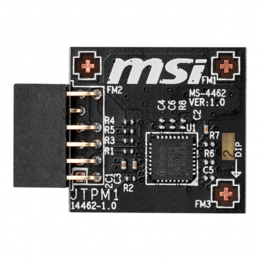 TPM Module(SPI), MS-4462, 12-pin Connector
