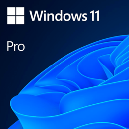 Windows 11 Pro 64-bit DVD OEM
