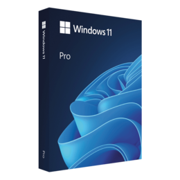 Windows 11 Pro (64-Bit, USB Flash Drive)