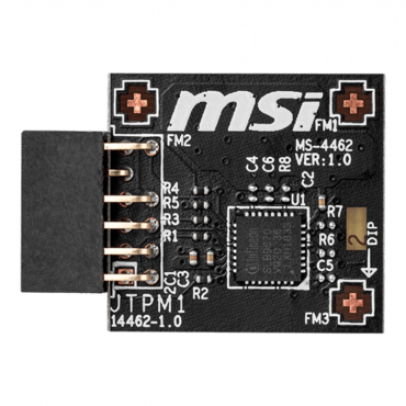 TPM Module(SPI), MS-4462, 12-pin Connector