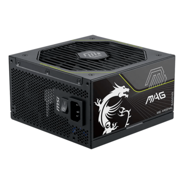 MAG A1000PLS PCIE5, 80 PLUS Platinum 1000W, Fully Modular, ATX Power Supply