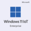 Pre-installed Windows 11 IoT Enterprise