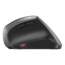 MW 4500, 1200dpi, Wireless 2.4, Black, Ergonomic Optical Mouse