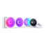 Kraken Elite 360 RGB (2024), White, 360mm Radiator, Liquid Cooling System