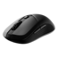 VERSA 300 WIRELESS, RGB, 8000-dpi, Wired/Bluetooth/Wireless, Black, Optical Gaming Mouse