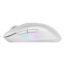 VERSA 300 ELITE WIRELESS WHITE, RGB, 26000-dpi, Wired/Bluetooth/Wireless, White, Optical Gaming Mouse